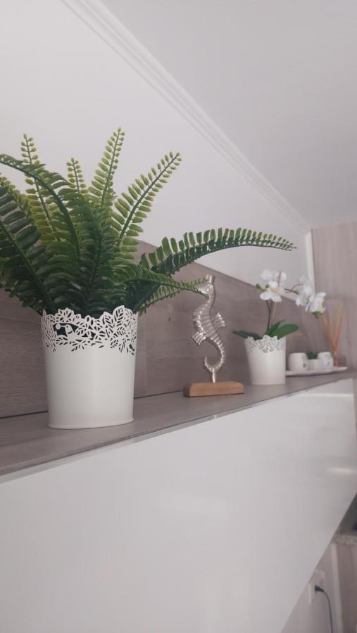 Apartamento Margarita Con Piscina En Playa Honda, Playa Las Americas Arona  Eksteriør bilde