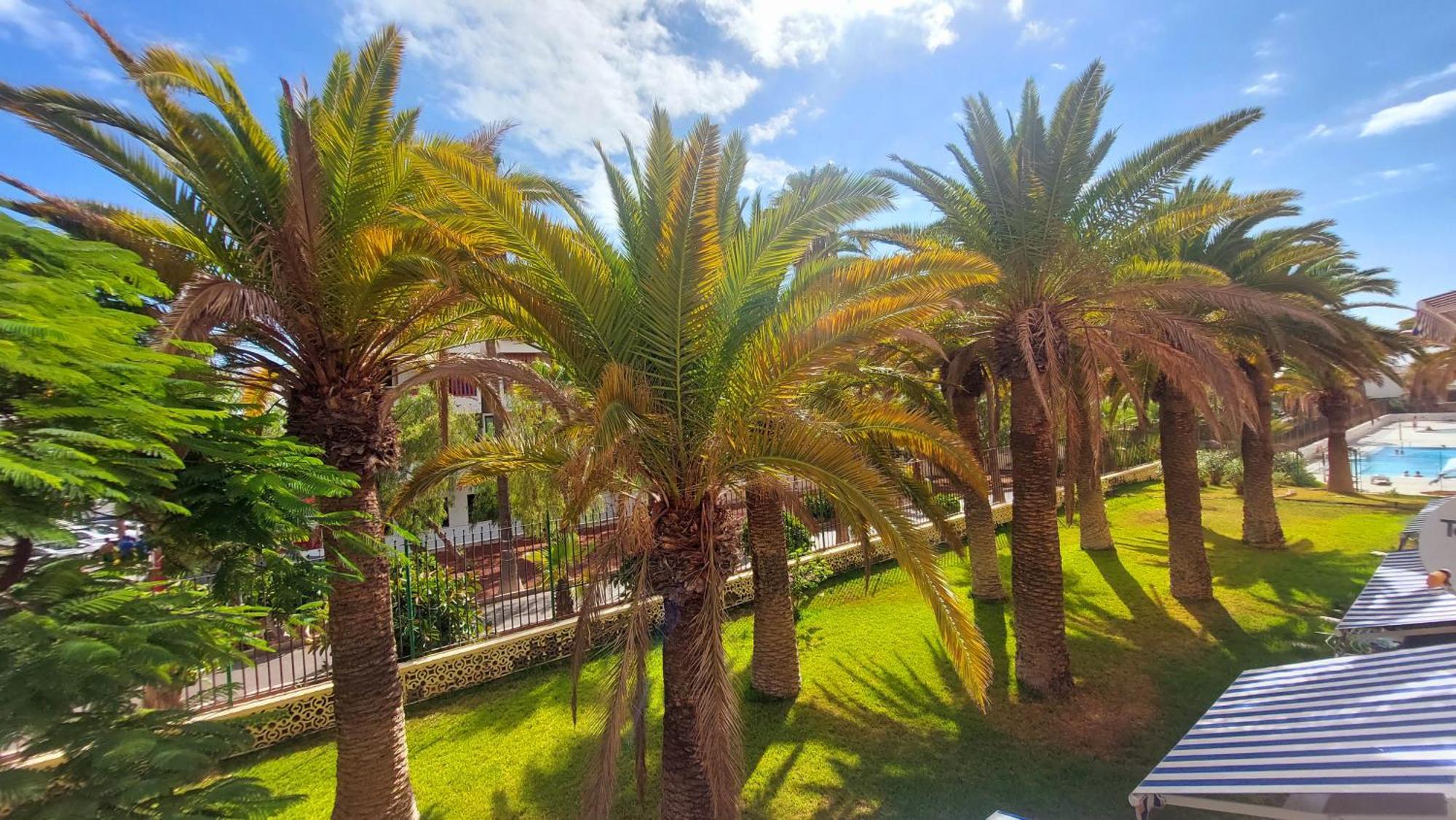 Apartamento Margarita Con Piscina En Playa Honda, Playa Las Americas Arona  Eksteriør bilde